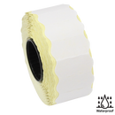 Tiger PGL-DC10 Date Coder Starter Pack